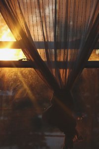 How To Honor The Autumnal Equinox | Free People Blog #freepeople: 