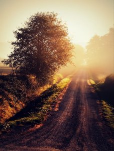 c7c4dca6df23cdb0a285e2470d0bb70d