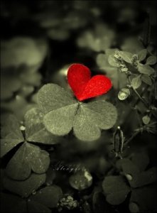 heart
