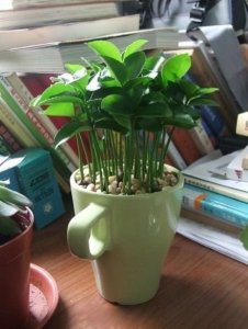 6208e76de1a60b43dddd2d53bdec9bfd