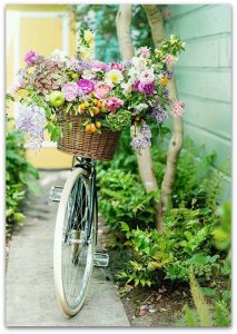 02bed4c9ac01a773164189595706dd9b