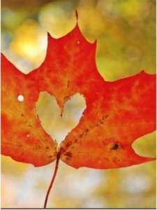 d5ee6a608035141727034340502d29eb